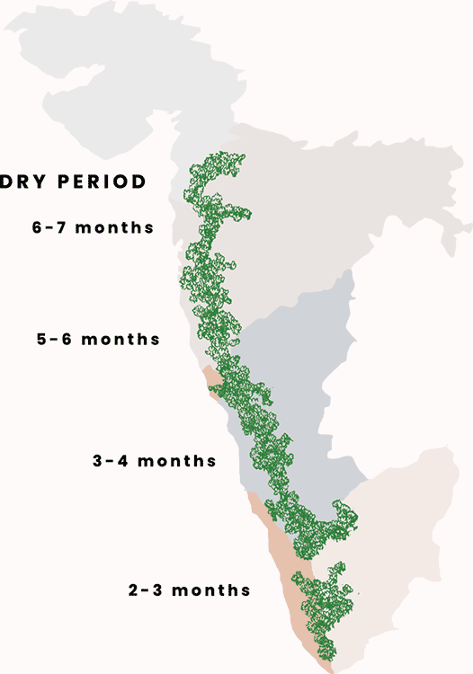 Variation in dry period along the Western Ghats, illustration.