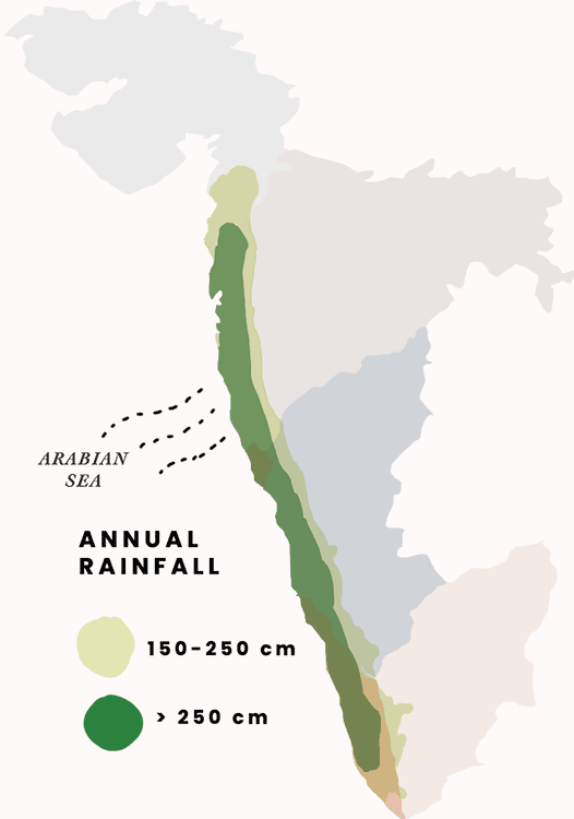 Annual rainfall along the Western Ghats, illustration.