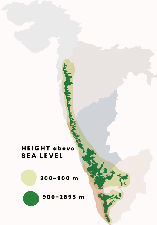 Height above sea level along the Western Ghats, illustration.