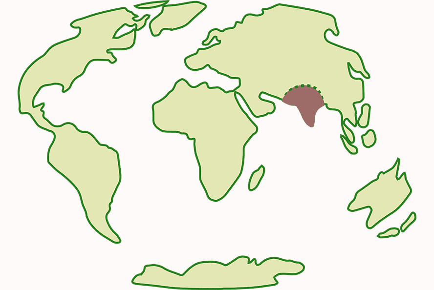 Present day continents, illustration.